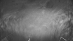 Lanovka - pohled dolů