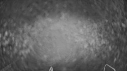 Lanovka - pohled dolů