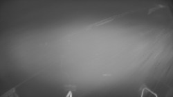 Lanovka - pohled dolů