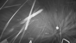 Lanovka - pohled dolů