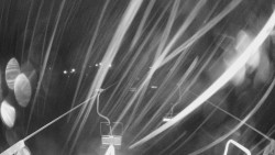 Lanovka - pohled dolů