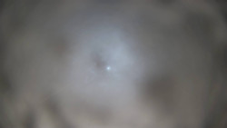 Lanovka - pohled dolů