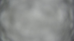 Lanovka - pohled dolů