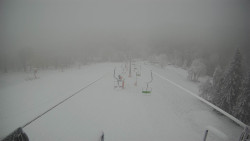 Lanovka - pohled dolů