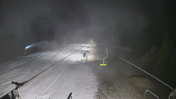 Lanovka - pohled dolů