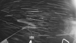 Lanovka - pohled dolů