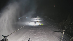 Lanovka - pohled dolů