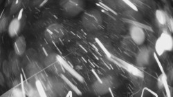 Lanovka - pohled dolů