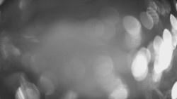 Lanovka - pohled dolů