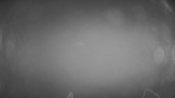 Lanovka - pohled dolů