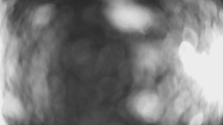 Lanovka - pohled dolů