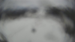 Lanovka - pohled dolů