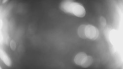 Lanovka - pohled dolů