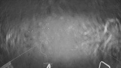 Lanovka - pohled dolů