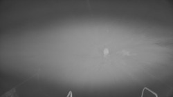 Lanovka - pohled dolů