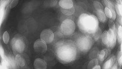 Lanovka - pohled dolů