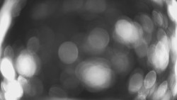 Lanovka - pohled dolů