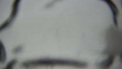 Lanovka - pohled dolů