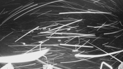 Lanovka - pohled dolů