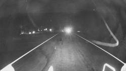 Lanovka - pohled dolů