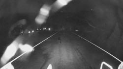 Lanovka - pohled dolů