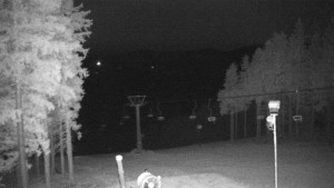 Snow park Paprsek - Kaplička - 5.11.2024 v 03:00 Snow park Paprsek - Kaplička - 5.11.2024 v 03:00