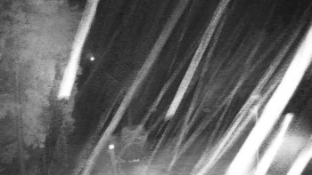 Snímek    3.11.2025 v 02:00