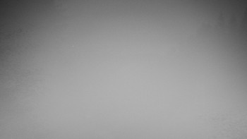 Snímek 5.11.2025 v 00:00