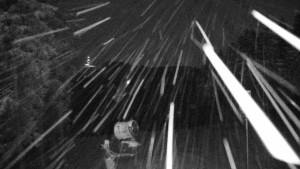 Snow park Paprsek - Kaplička - 2.1.2026 v 19:00 Snow park Paprsek - Kaplička - 2.1.2026 v 19:00