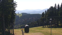Kaplička