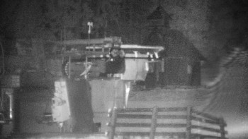 Snímek    3.11.2025 v 02:00