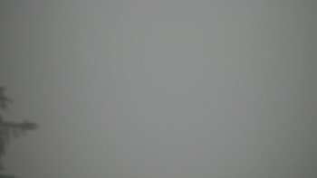 Snímek    1.11.2025 v 14:00