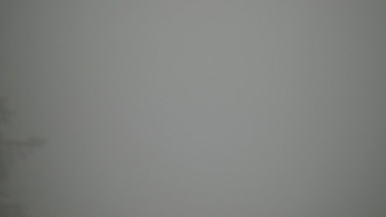 Snímek 4.11.2025 v 07:00