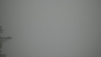 Snímek    4.11.2025 v 08:00