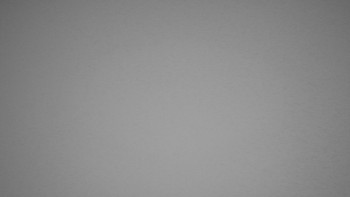 Snímek 4.11.2025 v 19:00