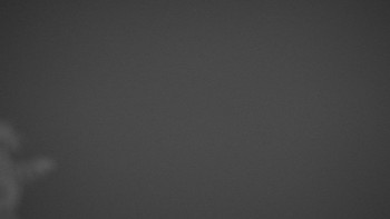 Snímek 7.11.2025 v 06:00