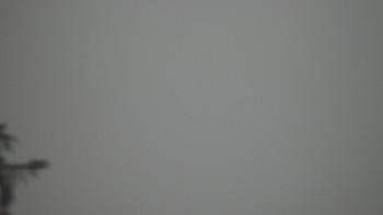 Snímek 7.11.2025 v 07:00