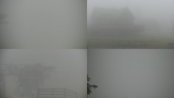 Snímek    25.10.2025 v 15:01