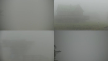 Snímek    1.11.2025 v 11:30