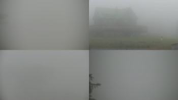 Snímek    1.11.2025 v 13:01