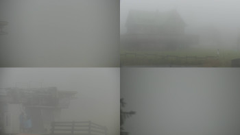 Snímek    4.11.2025 v 09:30