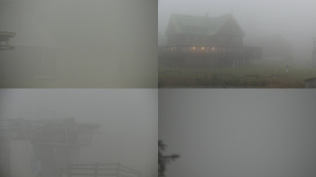 Snímek 7.11.2025 v 07:01