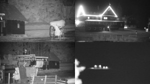 Snow park Paprsek - Paprsek - sdružený snímek - 11.3.2026 v 22:30 Snow park Paprsek - Paprsek - sdružený snímek - 11.3.2026 v 22:30