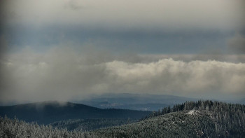 Snímek 21.11.2025 v 13:00