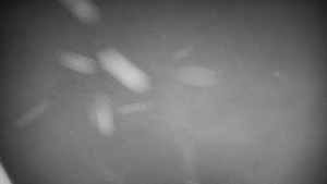 Horský hotel Volareza - Praděd - Panorama do údolí - 9.1.2026 v 22:00 Horský hotel Volareza - Praděd - Panorama do údolí - 9.1.2026 v 22:00