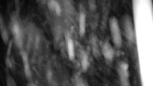 Horský hotel Volareza - Praděd - Panorama do údolí - 9.1.2026 v 23:30 Horský hotel Volareza - Praděd - Panorama do údolí - 9.1.2026 v 23:30