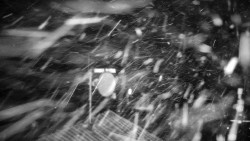 Horská služba - Ovčárna - Praděd