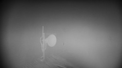 Horská služba - Ovčárna - Praděd