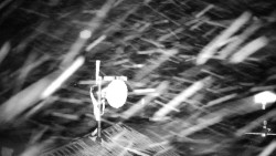 Horská služba - Ovčárna - Praděd