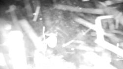 Horská služba - Ovčárna - Praděd